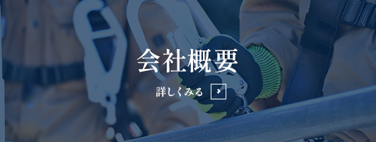 bnrhalf_company_off